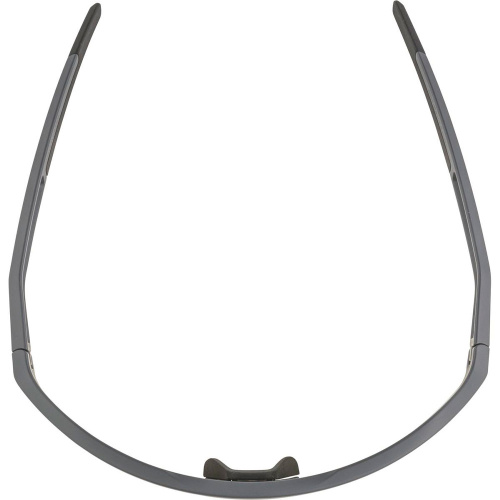 Alpina  очки солнцезащитные Sonic Hr Q-Lite фото 2