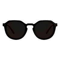 Alpina  очки солнцезащитные Sneek 2.0