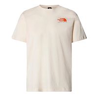 The North Face  футболка мужская Graphic