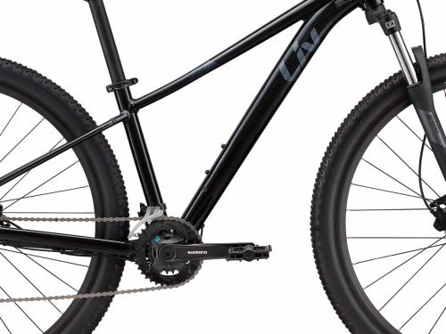 Liv  велосипед Tempt 29 3 - 2022 фото 4