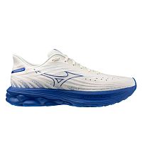 Mizuno  кроссовки мужские Wave Skyrise 6