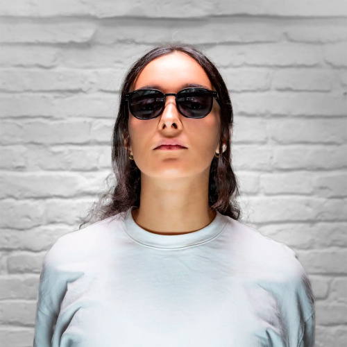 Alpina  очки солнцезащитные Dimont фото 6