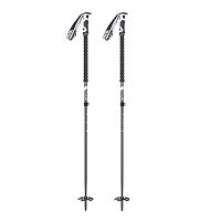 K2  палки горнолыжные Lockjaw Carbon