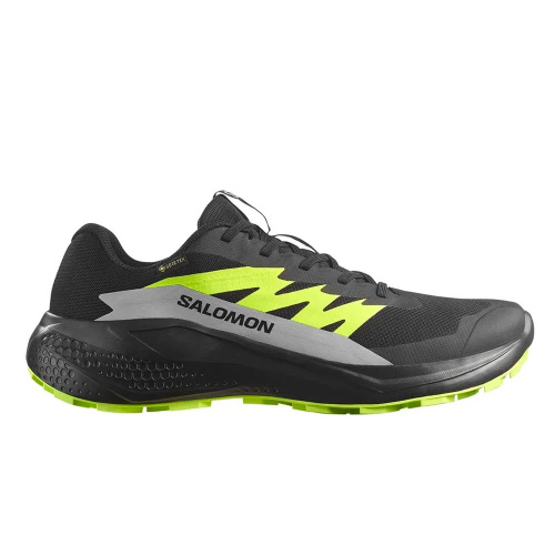 Salomon  кроссовки мужские Alphaglide gtx