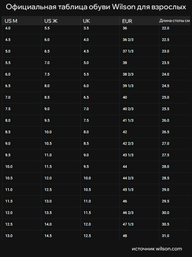 Wilson  кроссовки мужские Rush Pro 4.5 Clay фото 7