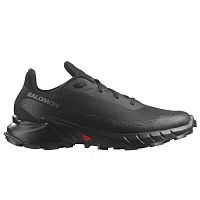 Salomon  кроссовки мужские Alphacross 5