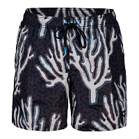 Arena  шорты мужские пляжные Placed