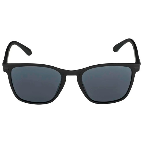 Alpina  очки солнцезащитные Yefe фото 3