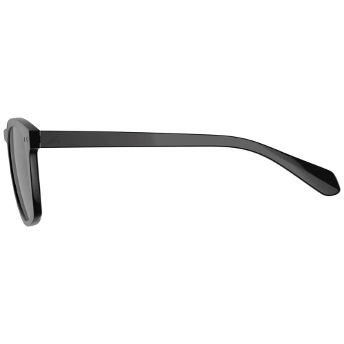 Alpina  очки солнцезащитные Sunbeam фото 3