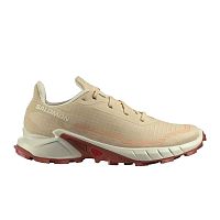 Salomon  кроссовки женские Alphacross 5