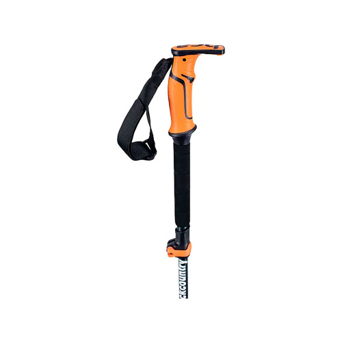 K2  палки горнолыжные Scepter - набор 4s фото 2