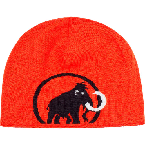 Mammut  шапка Mammut Logo