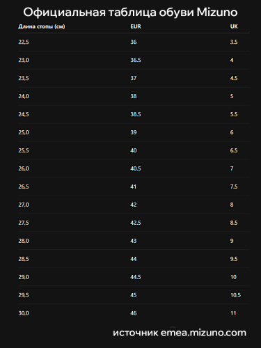 Mizuno  кроссовки мужские Wave Rider 29 фото 5