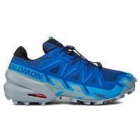 Salomon  кроссовки мужские Speedcross 6 Gtx