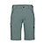 Mammut  шорты мужские Runbold IV (52, strata)