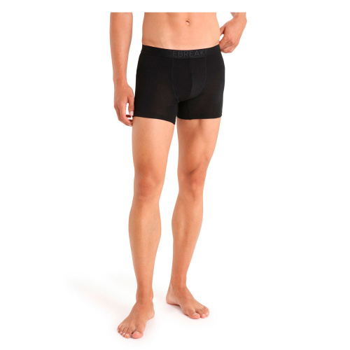Icebreaker  шорты мужские Anatomica Cool-Lite