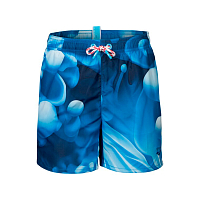Arena  шорты детские пляжные Water prints
