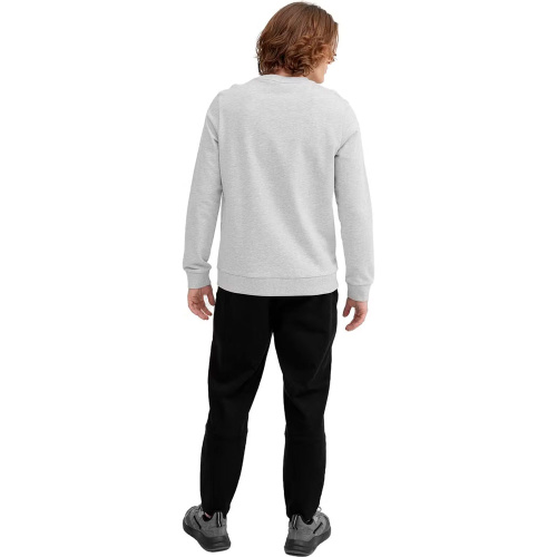 4F  толстовка мужская Sportstyle фото 4