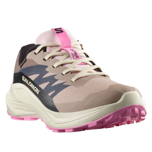 Salomon  кроссовки женские Alphaglide GTX фото 2
