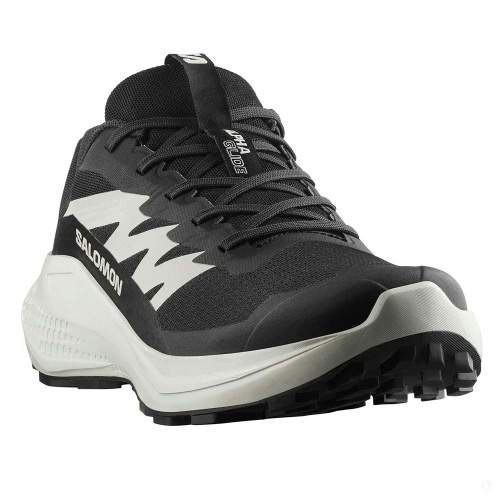 Salomon  кроссовки мужские Alphaglide фото 3