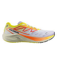 Salomon  кроссовки мужские Aero Volt 2