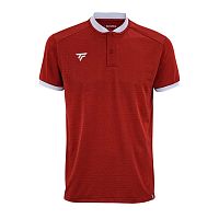 Tecnifibre  футболка-поло мужская Team Mesh Polo