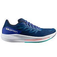 Salomon  кроссовки мужские Spectur