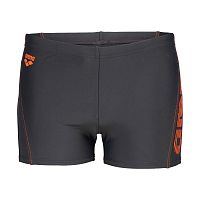 Arena  плавки-шорты мужские спортивные Byor Evo