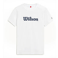 Wilson  футболка детская Youth Team Grphc Tee Boy