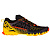 La Sportiva  кроссовки мужские Bushido II Gtx (41, black-yellow)
