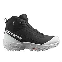 Salomon  ботинки мужские Crosstrak Wp