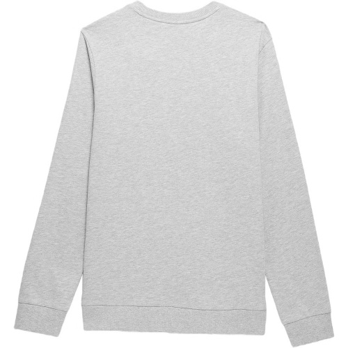 4F  толстовка мужская Sportstyle фото 2