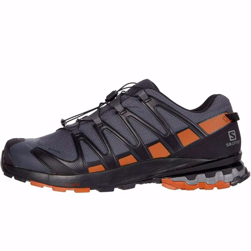 Salomon  кроссовки мужские Xa pro 3d v8 gtx фото 2