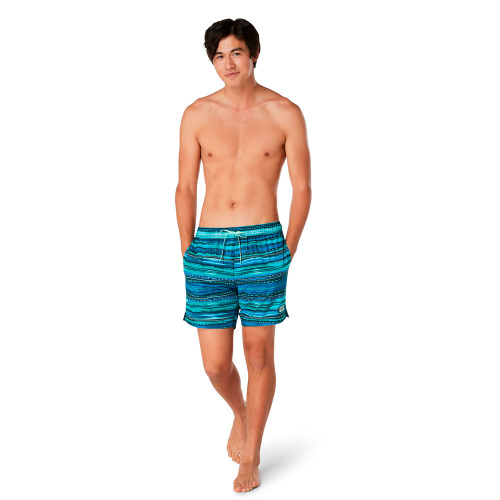 Speedo  шорты пляжные мужские Print redondo фото 2