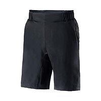 Giant  шорты Core Baggy