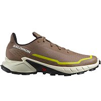 Salomon  кроссовки мужские Alphacross 5