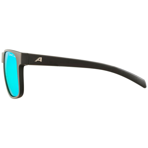 Alpina  очки солнцезащитные Nacan Iii фото 3