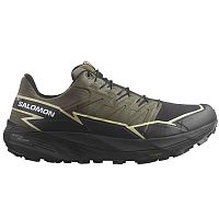 Salomon  кроссовки мужские Thundercross Gtx