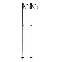Elan  палки горнолыжные Voyager Rod