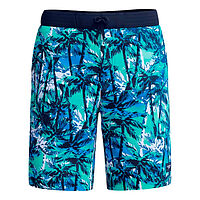 Speedo  шорты пляжные мужские Print bondi