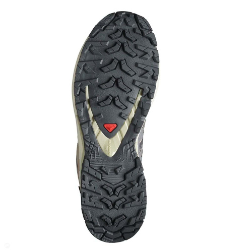 Salomon  кроссовки женские Xa pro 3d v9 gtx фото 8