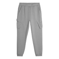 4F  брюки мужские Sportstyle