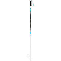 Dynastar  палки горнолыжные Legend Pro W