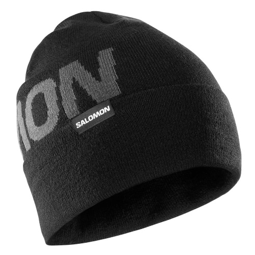Salomon  шапка Hermitage beanie