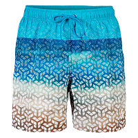 Arena  шорты мужские пляжные Placed