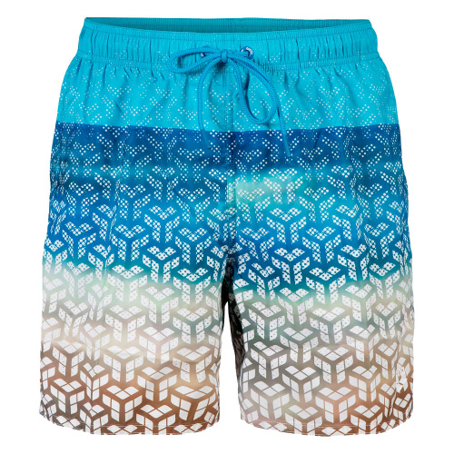 Arena шорты мужские пляжные Placed Arena шорты мужские пляжные Placed