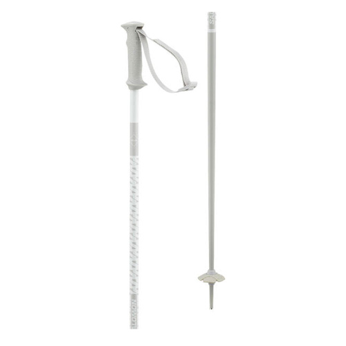 Salomon  палки горнолыжные Polar Access