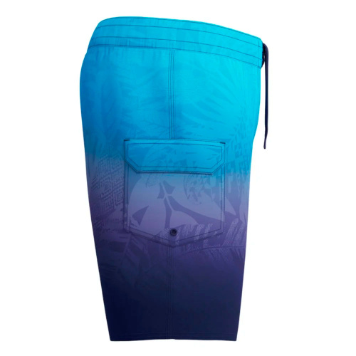 Speedo  шорты пляжные мужские The lookout фото 2