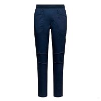 La Sportiva  брюки мужские Roots Pants