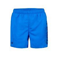 Arena  шорты мужские пляжные Fundamentals arena logo